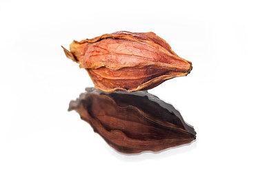 烛龙新作《白荆回廊》RTX游戏预告 画面还不错